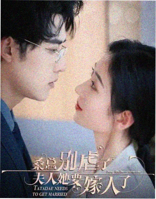 秘书处的秘密会议完结TXT