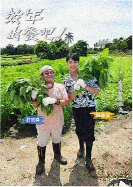 秘书的逆袭人生完结TXT